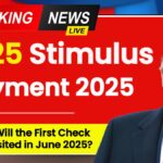 $725 Stimulus Payment